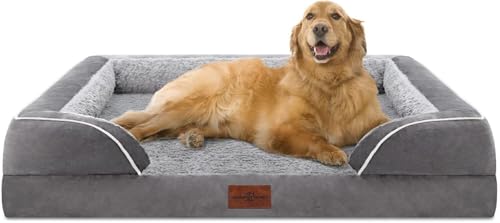 Best Orthopedic Dog Beds for Senior Dogs