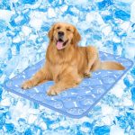 Best Outdoor Cooling Mat for Dogs