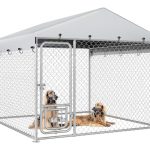 Best Outdoor Dog Kennel for Large Dogs
