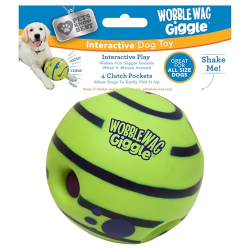 Best Outdoor Dog Toys to Keep Them Busy