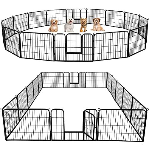 Best Outdoor Fence for Dogs