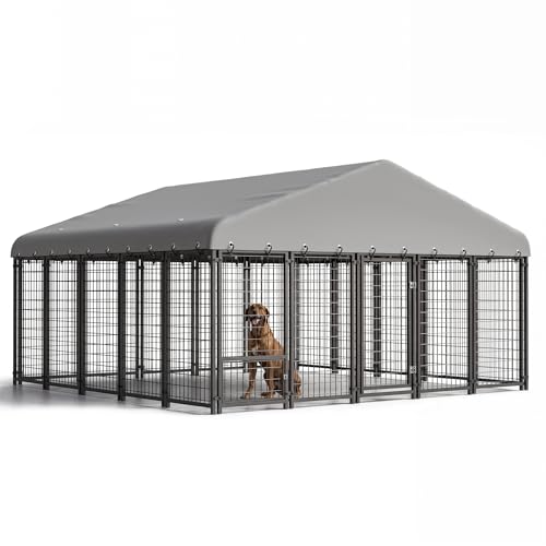 Best Outdoor Kennel for Large Dogs