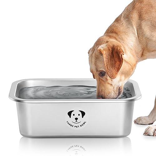 Best Outdoor Water Bowl for Dogs