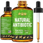 Best Over the Counter Antibiotic for Dogs
