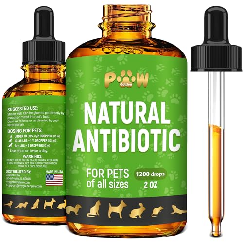 Best Over the Counter Antibiotic for Dogs