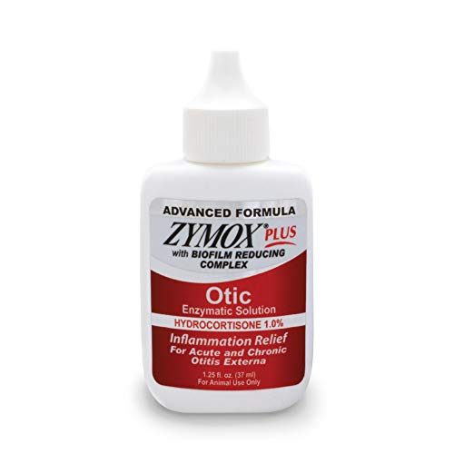 Best Over the Counter Ear Infection Medicine for Dogs