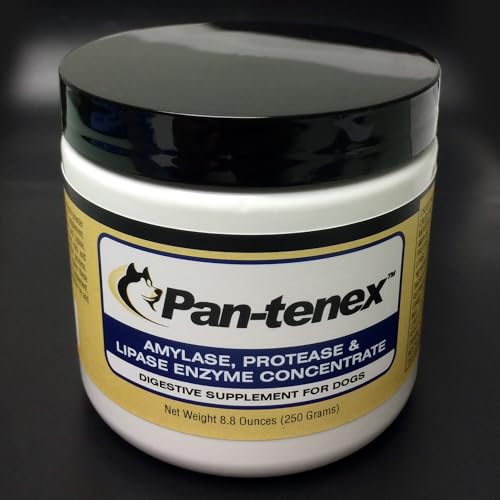 Best Pancreatic Enzymes for Dogs