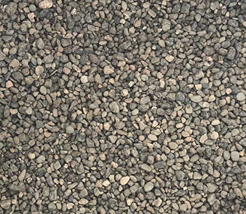 Best Pea Gravel for Dogs