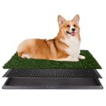 Best Pee Pads for Apartment Dogs