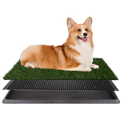 Best Pee Pads for Apartment Dogs