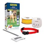 Best Perimeter Shock Collar for Dogs