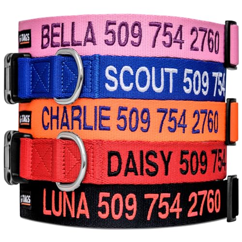 Best Personalized Dog Collars for Large Dogs