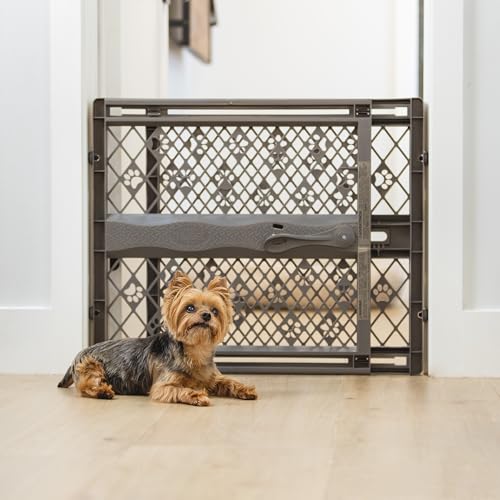 Best Pet Gate for Small Dogs