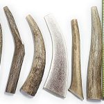 Best Place to Buy Antlers for Dogs
