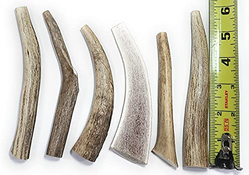Best Place to Buy Antlers for Dogs