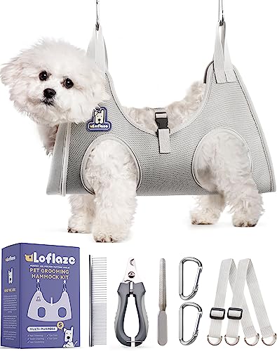 Best Place to Get Dogs Nails Trimmed