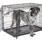 Best Place to Keep Dog Crate