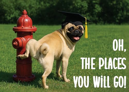 Best Places to Go With a Dog