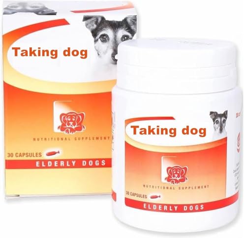 Best Places to Take Dogs