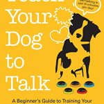Best Places to Take Your Dog near Me