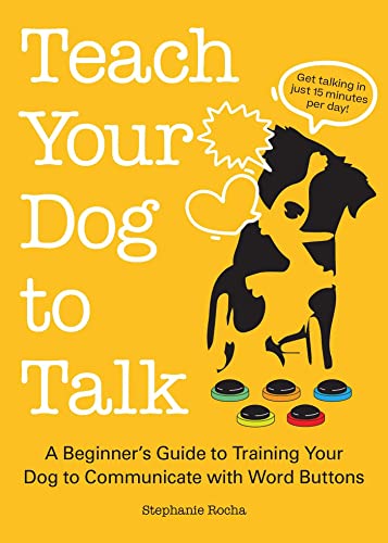 Best Places to Take Your Dog near Me