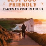 Best Places to Visit With a Dog