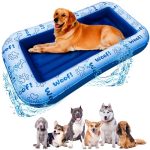 Best Pool Float for Dogs
