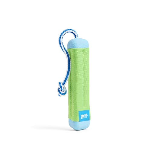 Best Pool Toys for Dogs