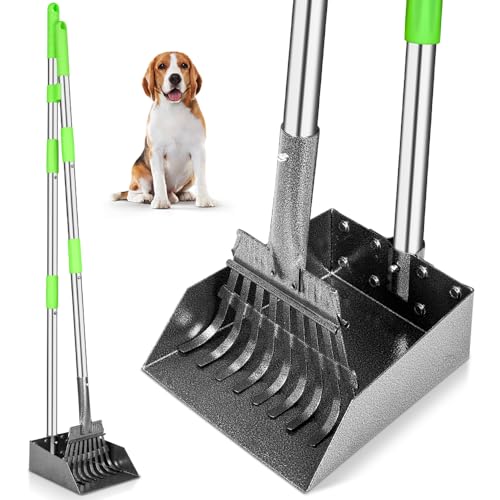 Best Pooper Scooper for Dogs
