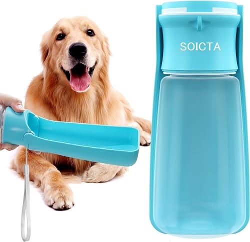 Best Portable Dog Water Bottle