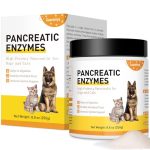 Best Probiotic for Dogs With Pancreatitis