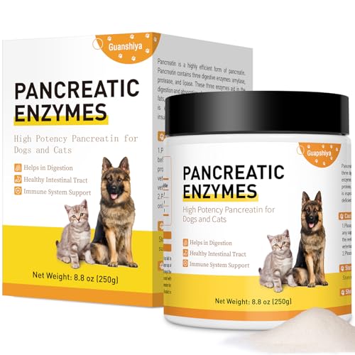 Best Probiotic for Dogs With Pancreatitis