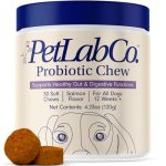 Best Probiotic for Dogs With Yeast