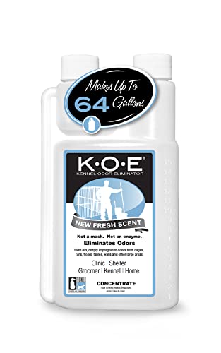 Best Product to Get Rid of Dog Pee Smell