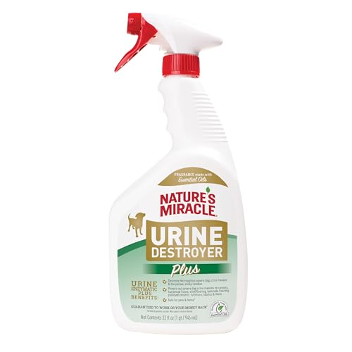 Best Product to Remove Dog Urine Smell