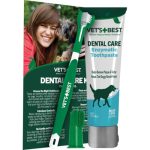 Best Products for Dogs Teeth