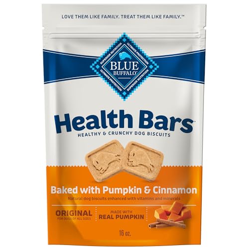 Best Pumpkin Treats for Dogs