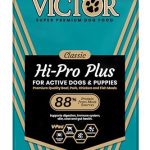 Best Quality Dog Food on a Budget