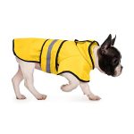 Best Rain Gear for Dogs