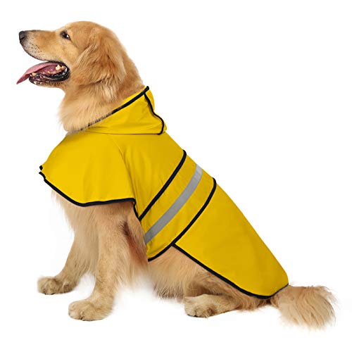 Best Rain Jacket for Dogs