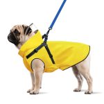 Best Raincoat for Small Dogs