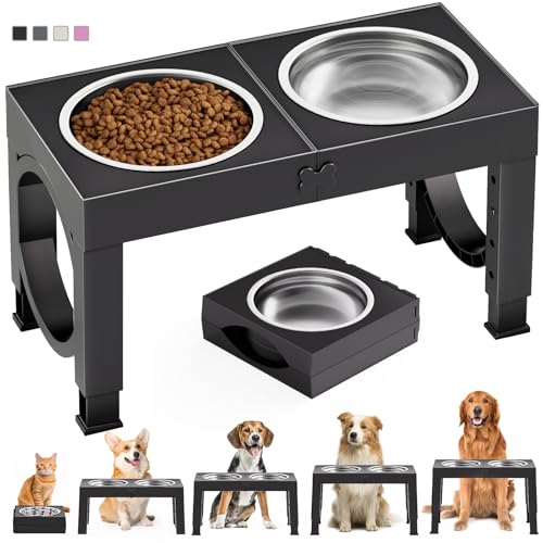 Best Raised Dog Food Bowls