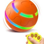 Best Remote Control Dog Toy