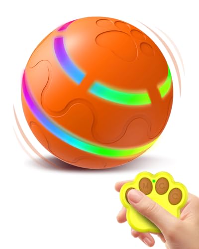 Best Remote Control Dog Toy