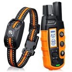 Best Remote Dog Training Collar