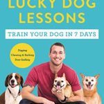 Best Rescue Dog Show 2024
