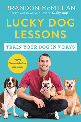 Best Rescue Dog Show 2024
