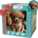 Best Robotic Dog for Adults