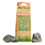 Best Rock for Dogs to Walk on