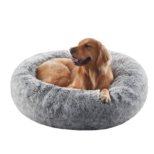 Best Round Dog Beds for Large Dogs